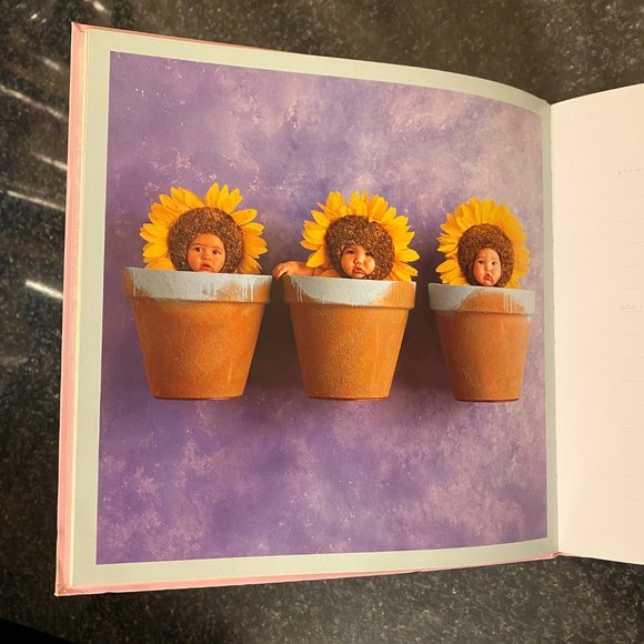 Anne Geddes My Pregnancy Journal - Picture 3 of 7